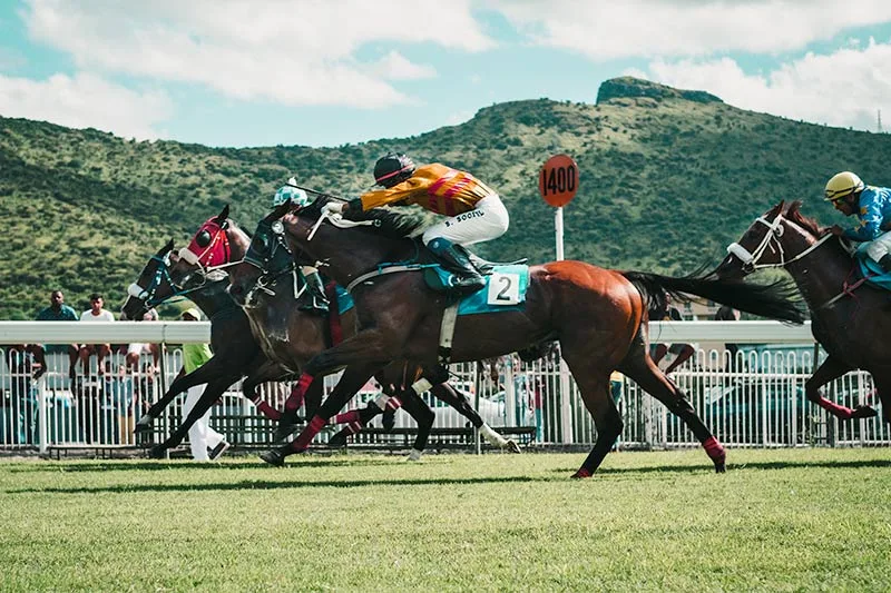 Horse_Race